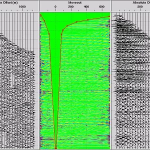 Examples of multiple suppression of land seismic data